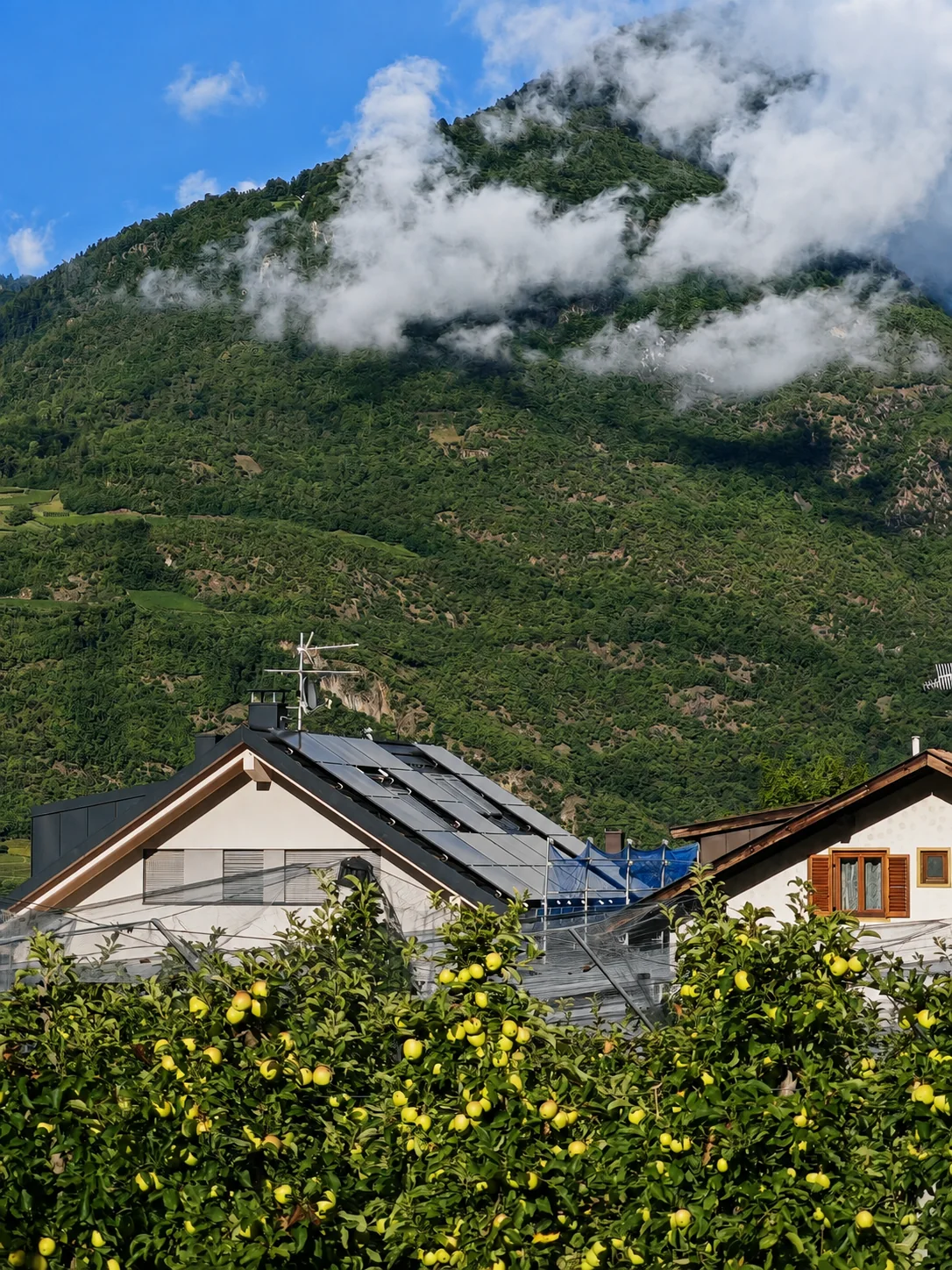 Impianto fotovoltaico tra meleti e montagne dell’Alto Adige
